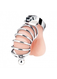 Серебристая клетка для члена Urethral Play Cage - BlueLine - купить с доставкой в Орехово-Зуево