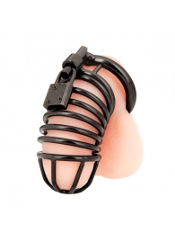 Черная металлическая клетка с замком Deluxe Chastity Cage - BlueLine - купить с доставкой в Орехово-Зуево