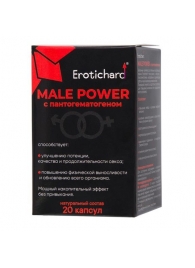 Капсулы для мужчин Erotichard male power с пантогематогеном - 20 капсул (0,370 гр.) - Erotic Hard - купить с доставкой в Орехово-Зуево