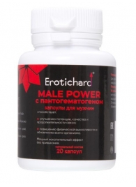 Капсулы для мужчин Erotichard male power с пантогематогеном - 20 капсул (0,370 гр.) - Erotic Hard - купить с доставкой в Орехово-Зуево