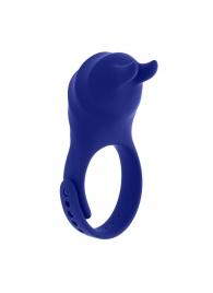 Синее эрекционное виброкольцо с клиторальной подушечкой и пультом ДУ Adjustable Fun Ring - Zero Tolerance - в Орехово-Зуево купить с доставкой