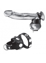 Утяжка для мошонки и пениса Cock Ring With 1  Ball Stretcher And Optional Weight Ring - BlueLine - купить с доставкой в Орехово-Зуево