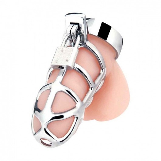 Серебристая металлическая клетка для члена с замком Enslave Cock Cage - BlueLine - купить с доставкой в Орехово-Зуево