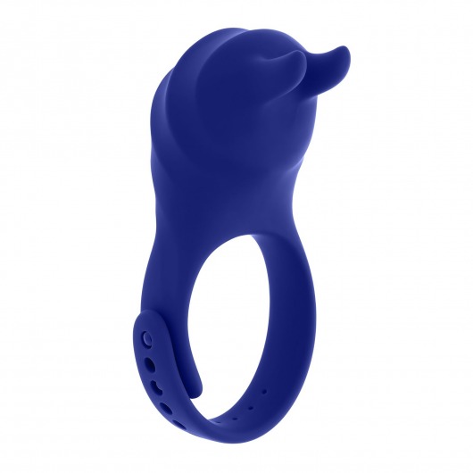Синее эрекционное виброкольцо с клиторальной подушечкой и пультом ДУ Adjustable Fun Ring - Zero Tolerance - в Орехово-Зуево купить с доставкой